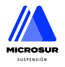microsur-logo-2